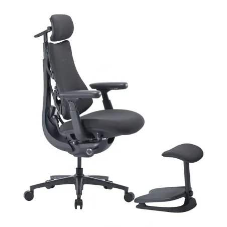 LiberNovo Omni Pro 48 cm Ergonomic Chair (Graphite)